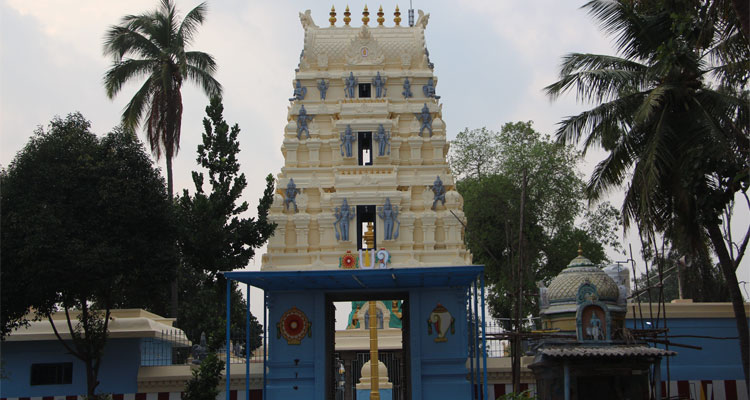 Srinivasa Perumal Temple